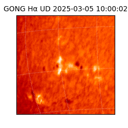 gong - 2025-03-05T10:00:02