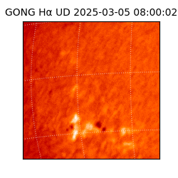 gong - 2025-03-05T08:00:02