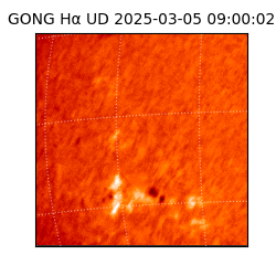 gong - 2025-03-05T09:00:02