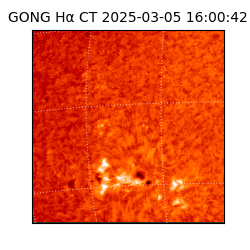 gong - 2025-03-05T16:00:42