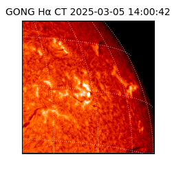 gong - 2025-03-05T14:00:42