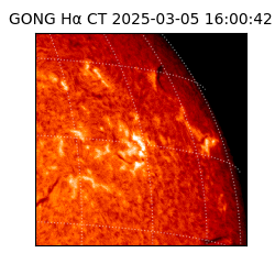 gong - 2025-03-05T16:00:42