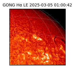 gong - 2025-03-05T01:00:42