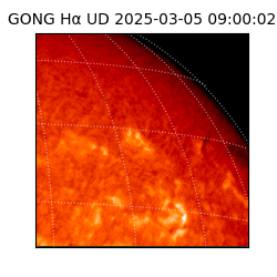 gong - 2025-03-05T09:00:02