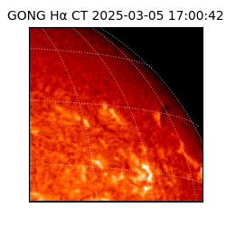 gong - 2025-03-05T17:00:42