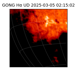 gong - 2025-03-05T02:15:02