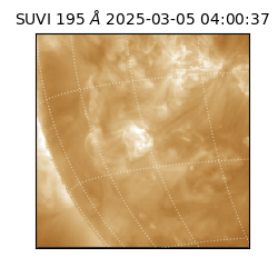 suvi - 2025-03-05T04:00:37.428000