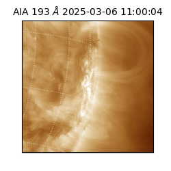 saia - 2025-03-06T11:00:04.843000