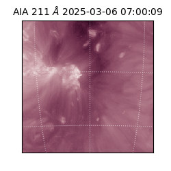 saia - 2025-03-06T07:00:09.622000