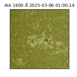 saia - 2025-03-06T01:00:14.126000
