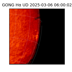 gong - 2025-03-06T06:00:02