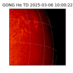 gong - 2025-03-06T10:00:22