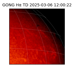 gong - 2025-03-06T12:00:22