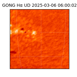 gong - 2025-03-06T06:00:02