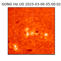 gong - 2025-03-06T05:00:02