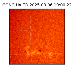 gong - 2025-03-06T10:00:22