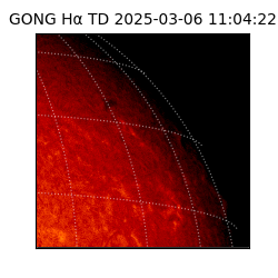 gong - 2025-03-06T11:04:22