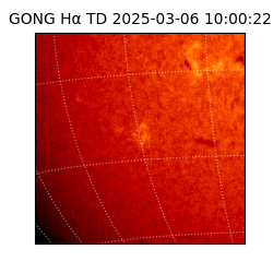 gong - 2025-03-06T10:00:22