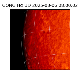 gong - 2025-03-06T08:00:02