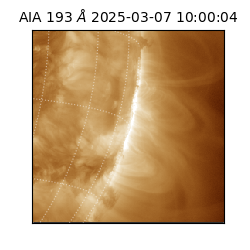 saia - 2025-03-07T10:00:04.845000