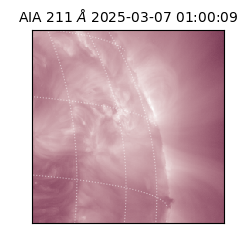 saia - 2025-03-07T01:00:09.626000