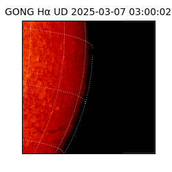 gong - 2025-03-07T03:00:02