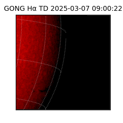 gong - 2025-03-07T09:00:22