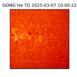 gong - 2025-03-07T10:00:22