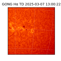 gong - 2025-03-07T13:00:22
