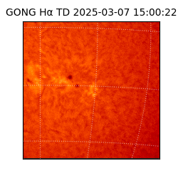 gong - 2025-03-07T15:00:22