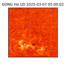 gong - 2025-03-07T05:00:02