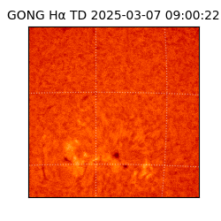 gong - 2025-03-07T09:00:22