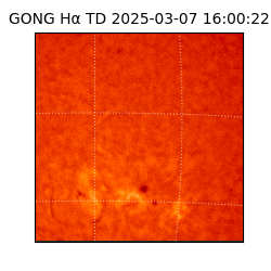 gong - 2025-03-07T16:00:22