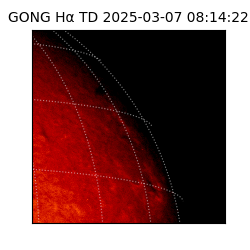 gong - 2025-03-07T08:14:22