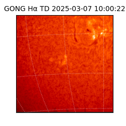 gong - 2025-03-07T10:00:22