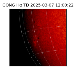 gong - 2025-03-07T12:00:22