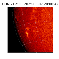 gong - 2025-03-07T20:00:42