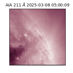 saia - 2025-03-08T05:00:09.625000