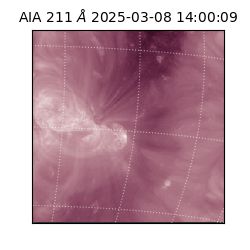 saia - 2025-03-08T14:00:09.626000