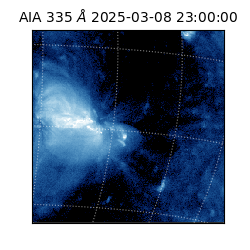 saia - 2025-03-08T23:00:00.625000