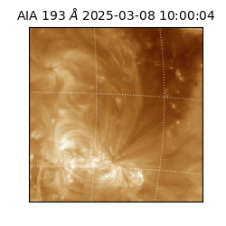 saia - 2025-03-08T10:00:04.843000