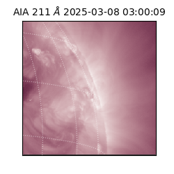 saia - 2025-03-08T03:00:09.626000