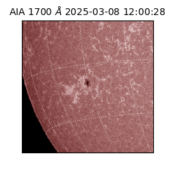saia - 2025-03-08T12:00:28.720000