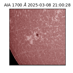 saia - 2025-03-08T21:00:28.718000