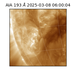 saia - 2025-03-08T06:00:04.847000
