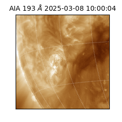 saia - 2025-03-08T10:00:04.843000