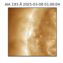 saia - 2025-03-08T01:00:04.835000