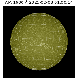 saia - 2025-03-08T01:00:14.121000
