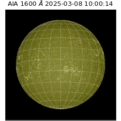 saia - 2025-03-08T10:00:14.129000