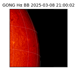 gong - 2025-03-08T21:00:02